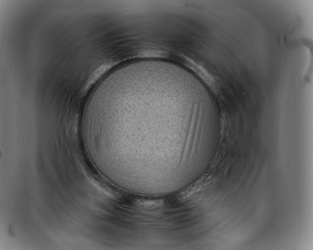 X0000097500155200803071810