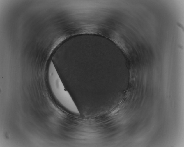 X0000097500156200803071810