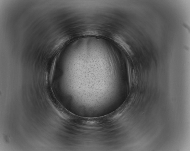 X0000097500157200803071810