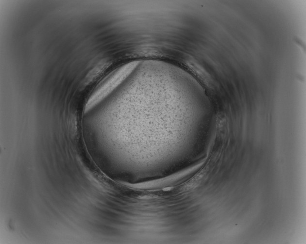 X0000097500158200803071810