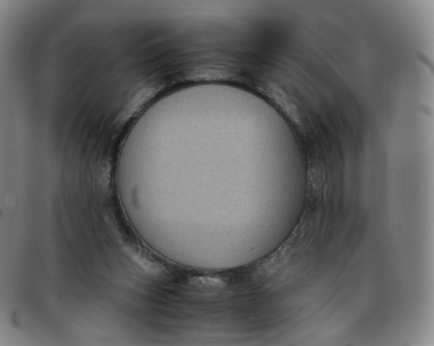 X0000097500159200803071810