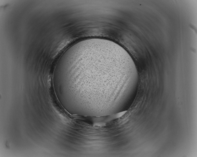 X0000097500160200803071810