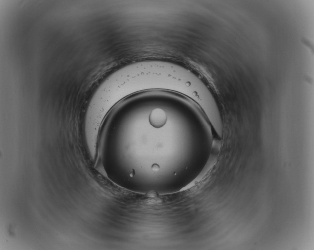 X0000097500162200803071810