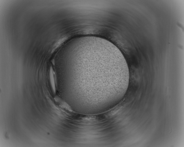 X0000097500164200803071810