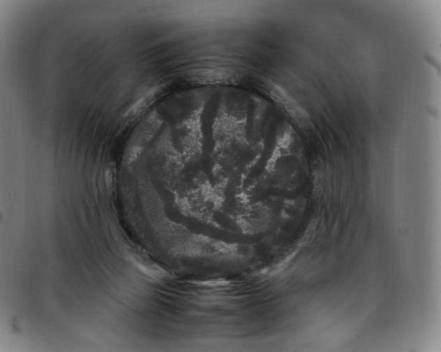 X0000097500165200803071810