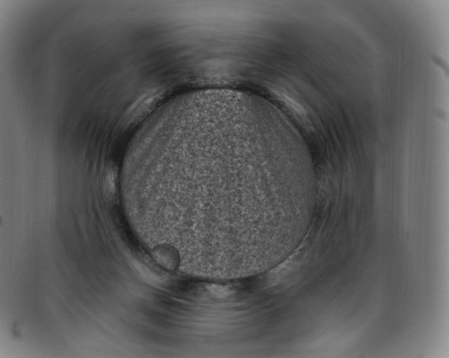 X0000097500166200803071810