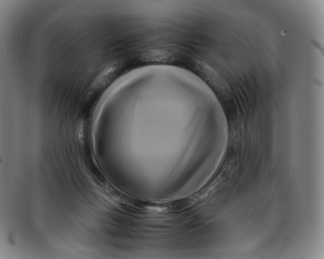 X0000097500167200803071810