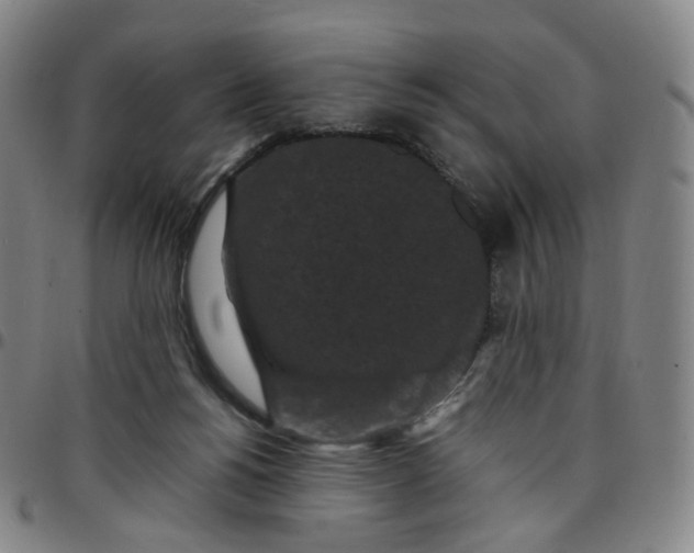 X0000097500168200803071810