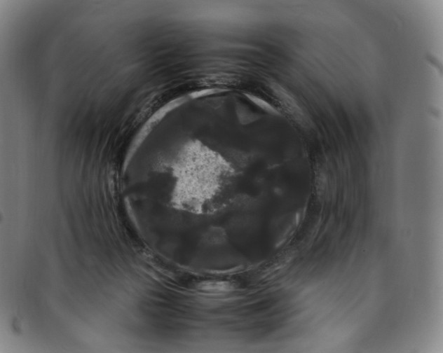 X0000097500169200803071810