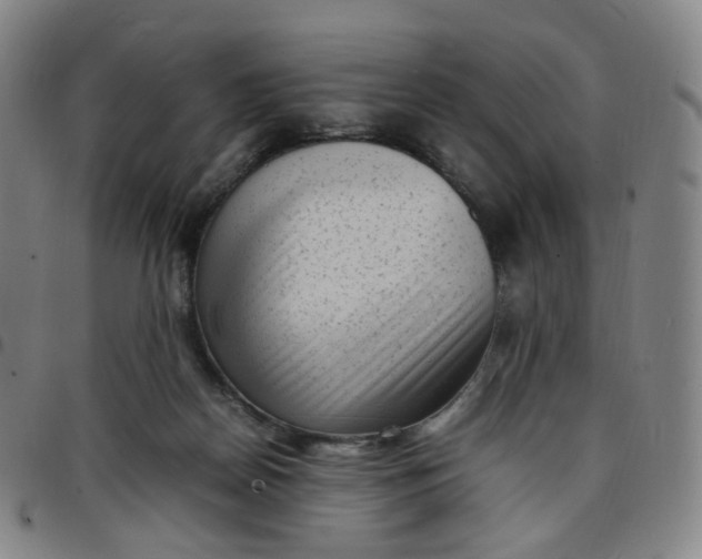 X0000097500170200803071810