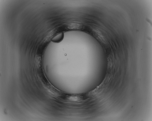 X0000097500171200803071810