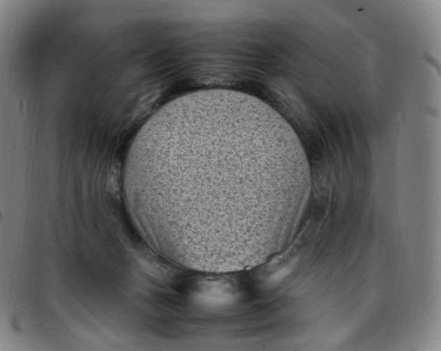 X0000097500175200803071810