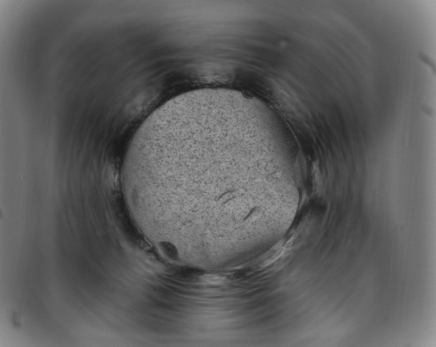 X0000097500176200803071810