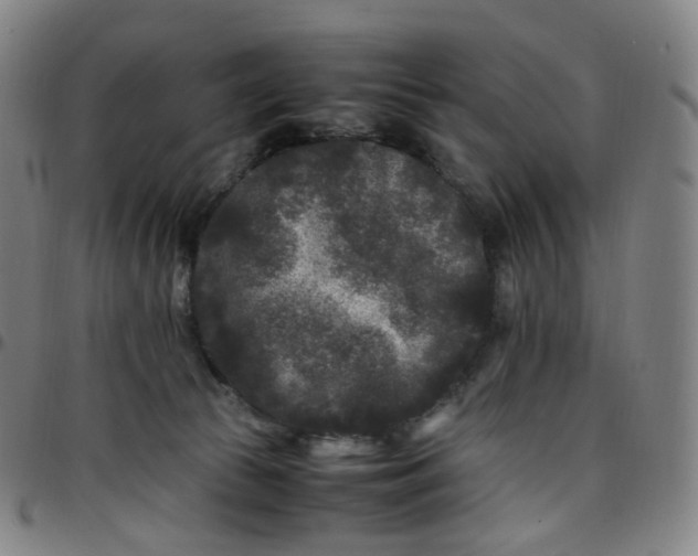 X0000097500177200803071810