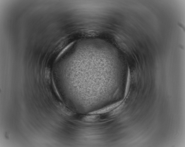 X0000097500178200803071810