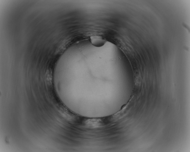 X0000097500179200803071810