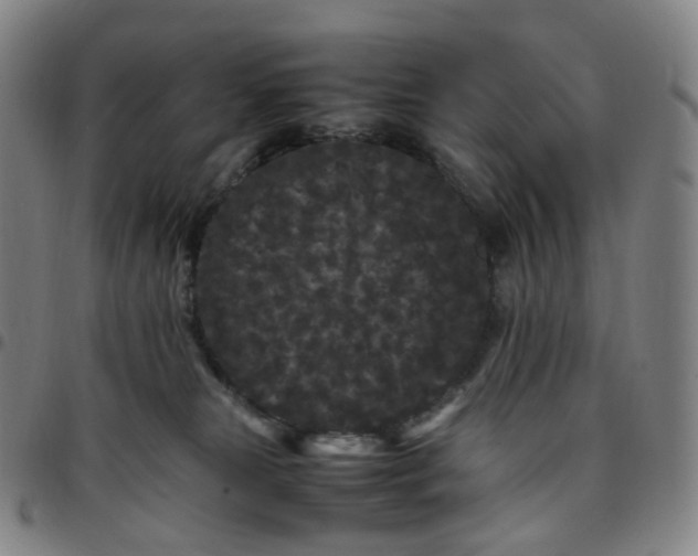 X0000097500181200803071810