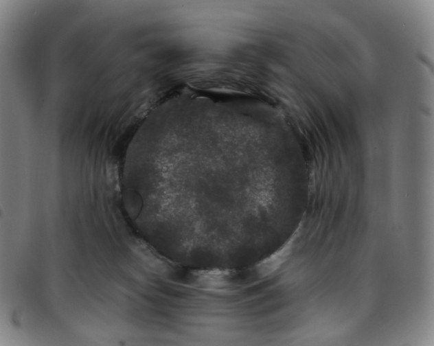 X0000097500182200803071810