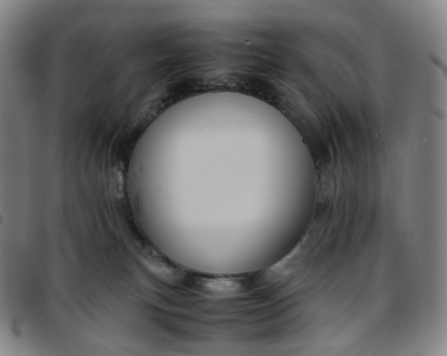 X0000097500183200803071810