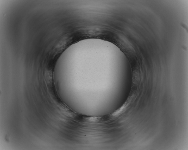 X0000097500184200803071810