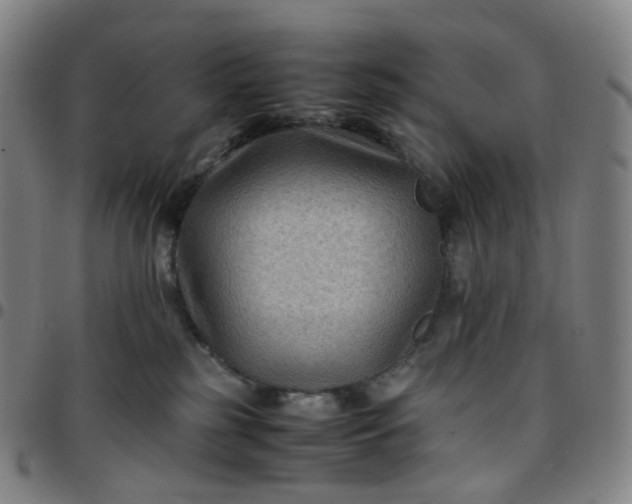 X0000097500185200803071810