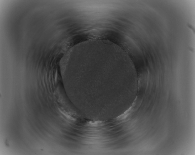 X0000097500186200803071810