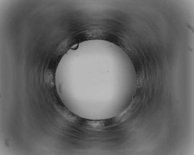 X0000097500187200803071810