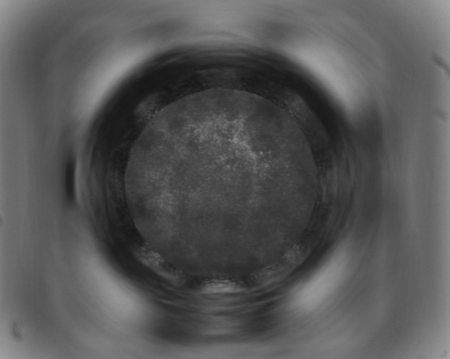 X0000097500189200803071810