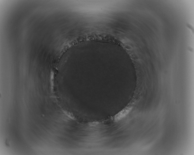 X0000097500192200803071810