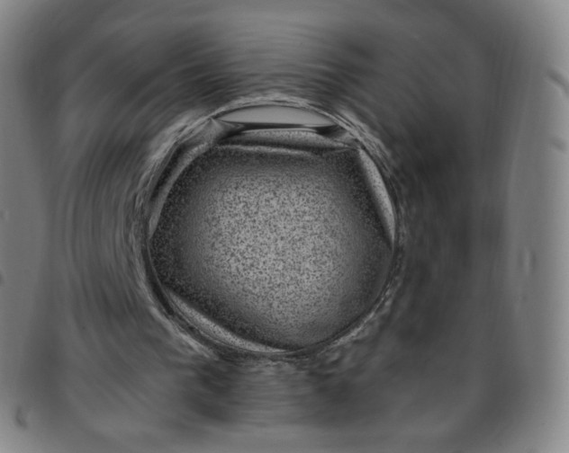 X0000097500193200803071810