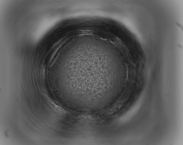 X0000097500194200803071810