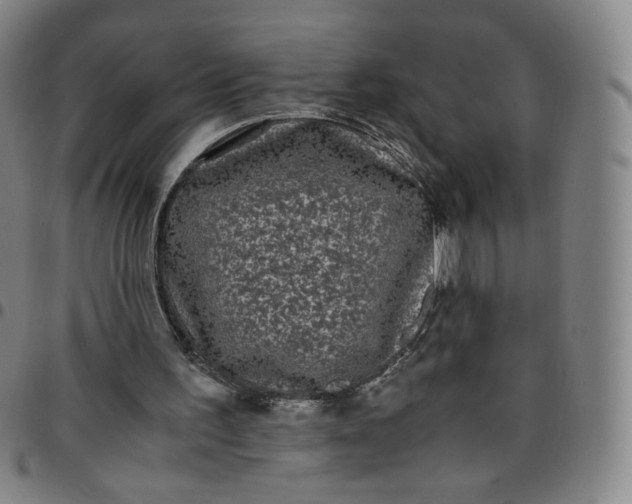 X0000097500195200803071810