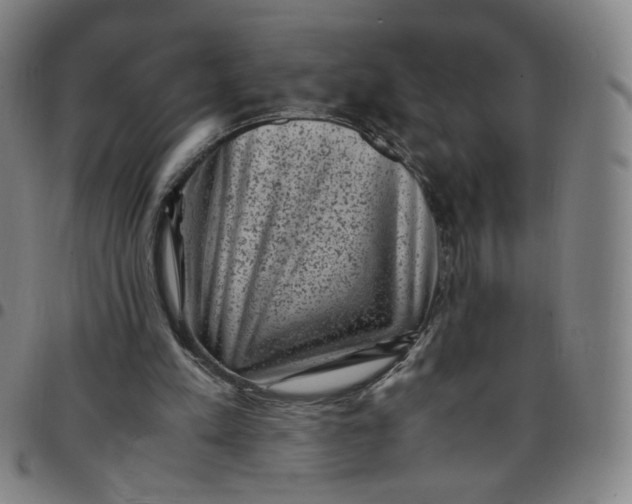 X0000097500197200803071810