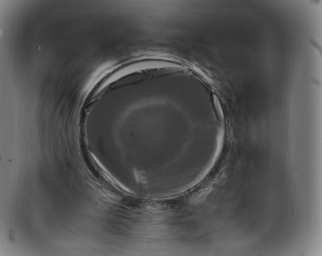 X0000097500199200803071810