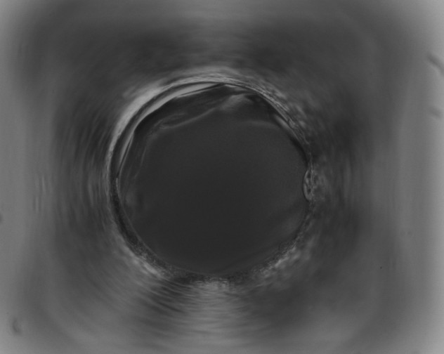 X0000097500200200803071809