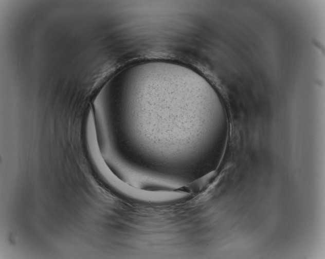 X0000097500201200803071809