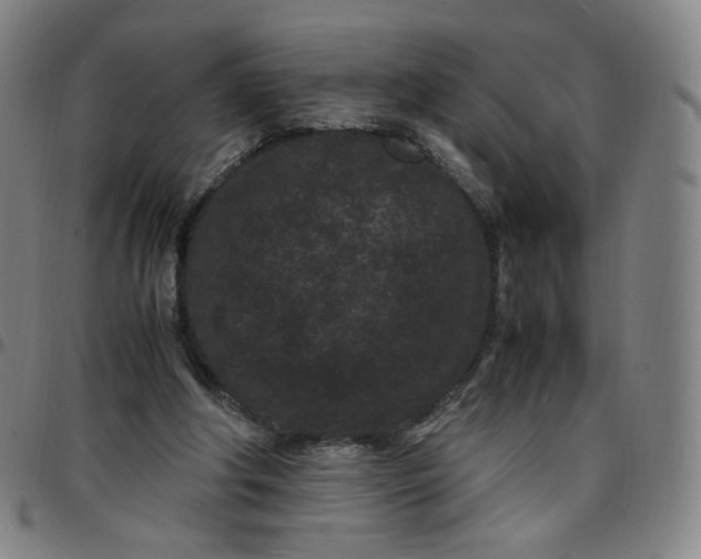 X0000097500202200803071809