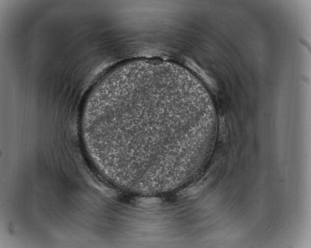 X0000097500203200803071809