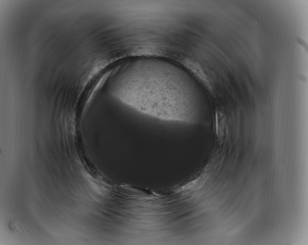 X0000097500204200803071809