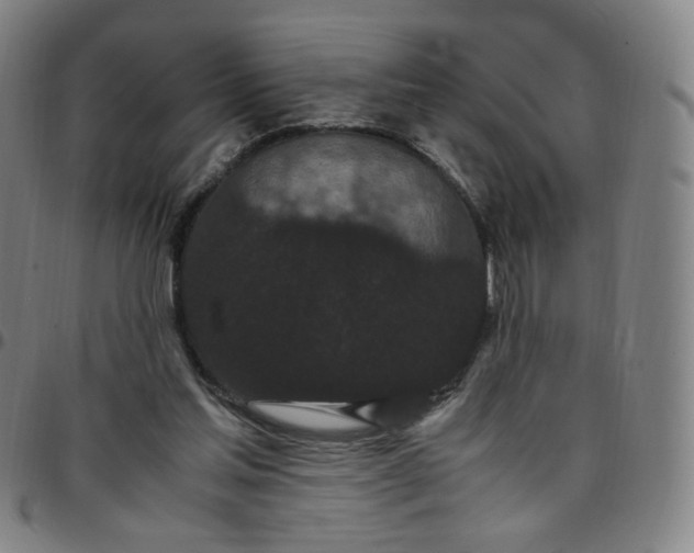 X0000097500205200803071809