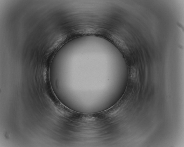 X0000097500206200803071809