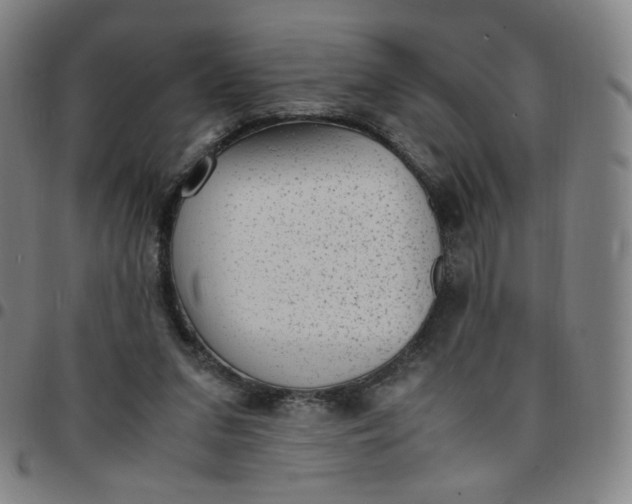 X0000097500207200803071809