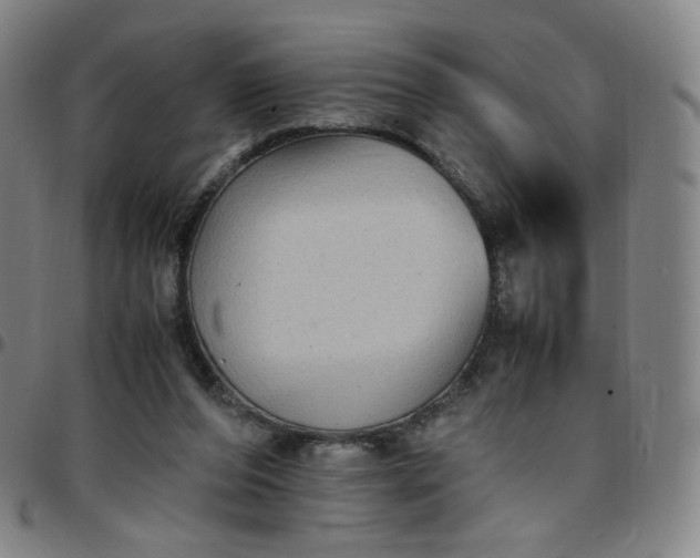 X0000097500208200803071809