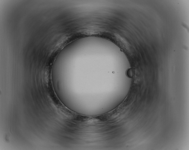 X0000097500210200803071809