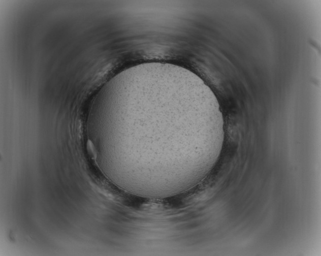 X0000097500211200803071809