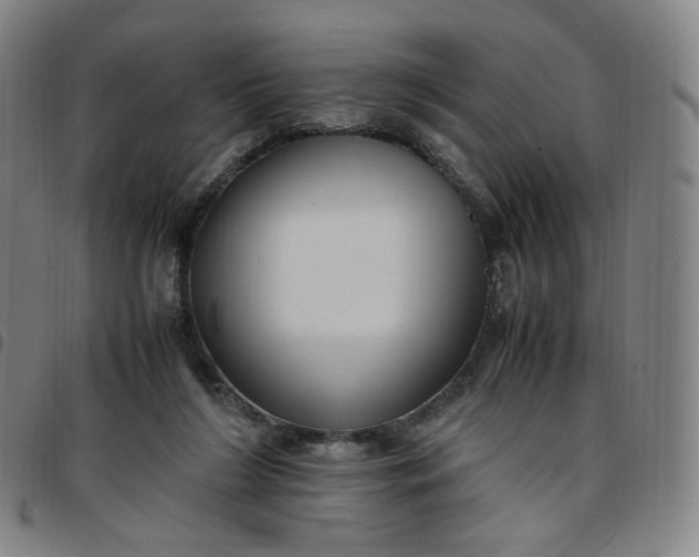 X0000097500212200803071809