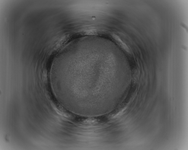 X0000097500213200803071809