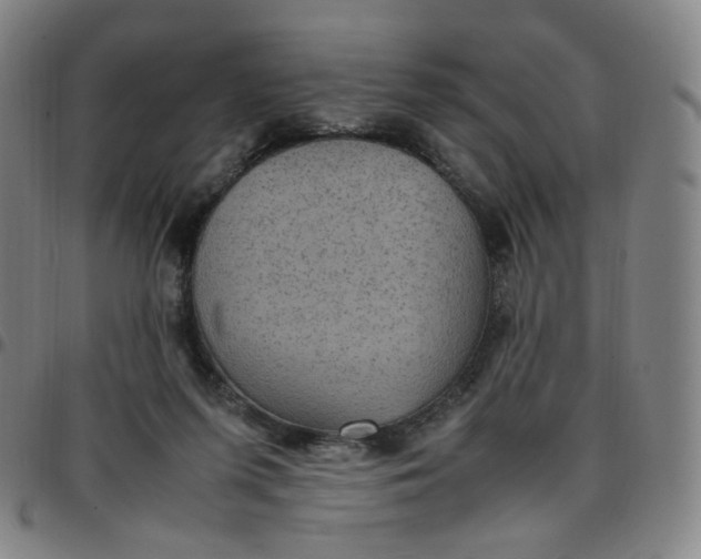 X0000097500215200803071809