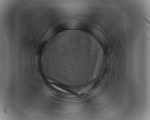 X0000097500217200803071809