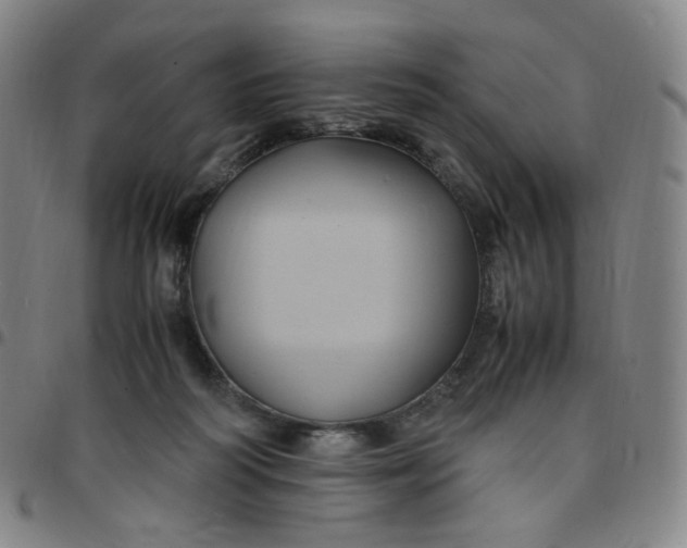 X0000097500218200803071809